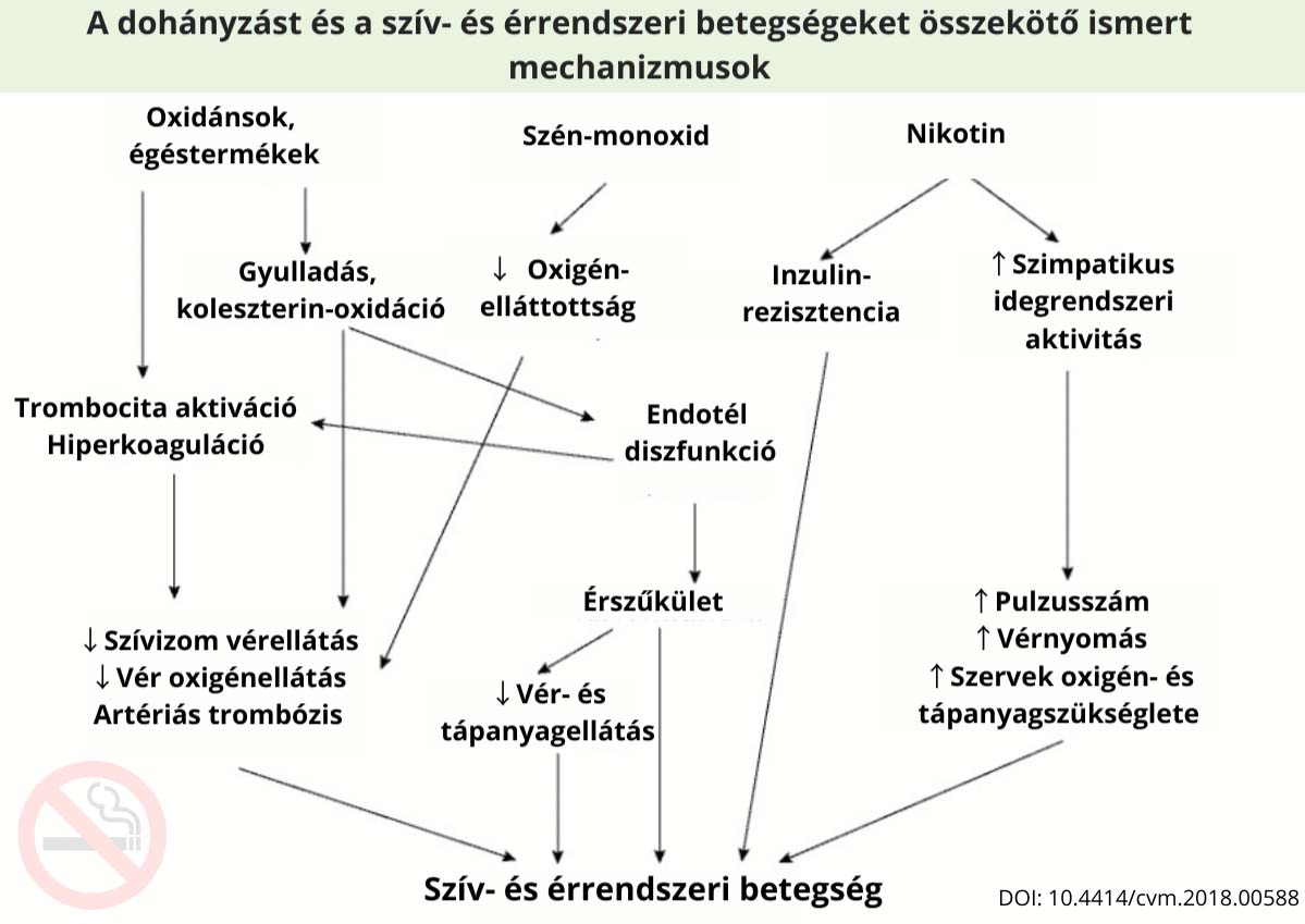 Bőrgyógyászat felnőtteknek és gyermekeknek